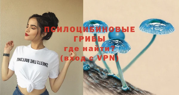 соль ск Краснотурьинск