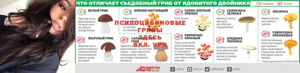ALPHA PVP Краснослободск