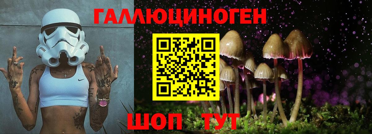 где купить наркотик  Псилоцибиновые грибы Psilocybe  Вход с VPN  Лосино-Петровский  Галлюциногенные грибы ЛСД 